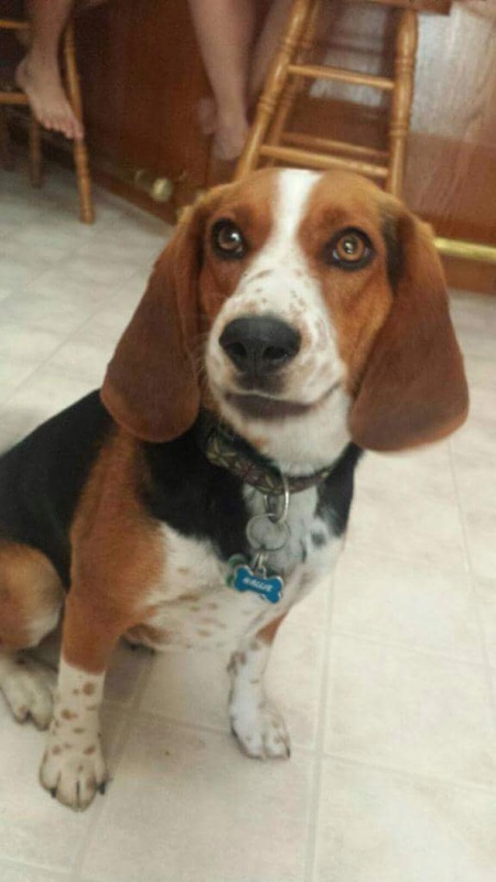 Entry image for Hallie. Clicking this image will show a larger photo