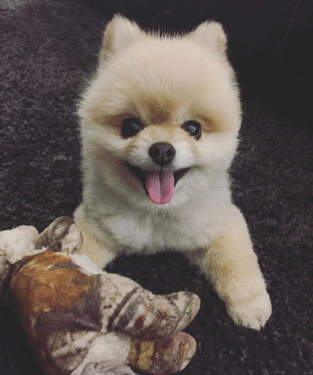 Entry image for Miki . Clicking this image will show a larger photo