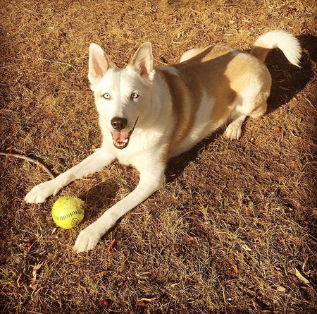 Entry image for Era. Clicking this image will show a larger photo