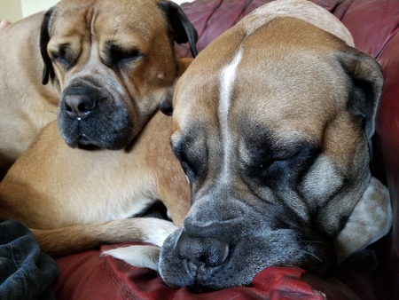 Entry image for Penny & Finley. Clicking this image will show a larger photo