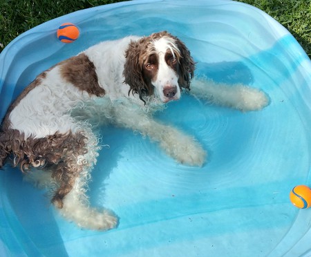 Entry image for Max. Clicking this image will show a larger photo