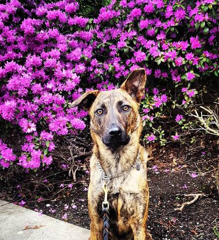 Entry image for Timber. Clicking this image will show a larger photo