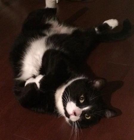 Entry image for Carlton. Clicking this image will show a larger photo