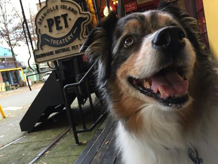 Entry image for Roxi. Clicking this image will show a larger photo