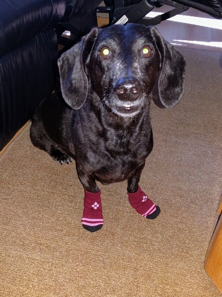 Entry image for Uggz. Clicking this image will show a larger photo