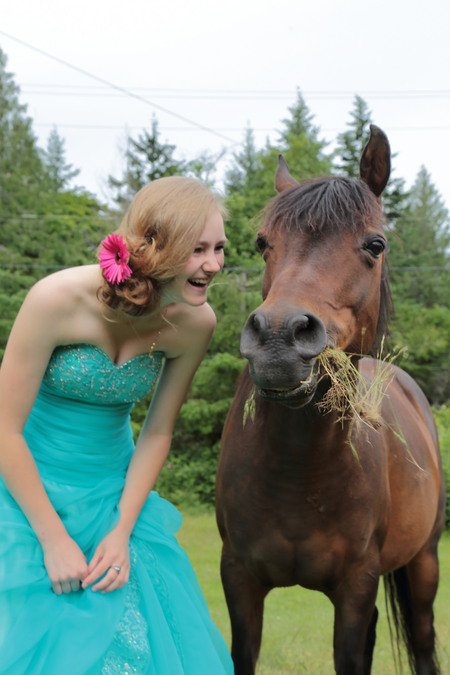 Entry image for Miss Magnificent (AKA Maggie). Clicking this image will show a larger photo