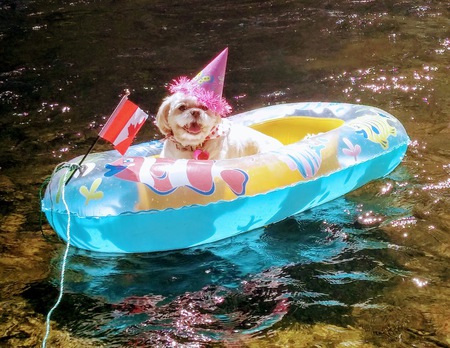 Entry image for Carli. Clicking this image will show a larger photo