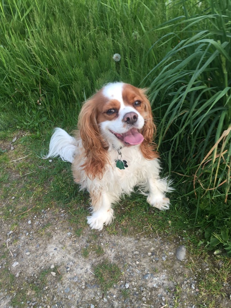 Entry image for Jackson. Clicking this image will show a larger photo