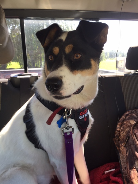 Entry image for Missy Mook. Clicking this image will show a larger photo