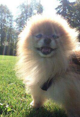 Entry image for Ms Chloe . Clicking this image will show a larger photo