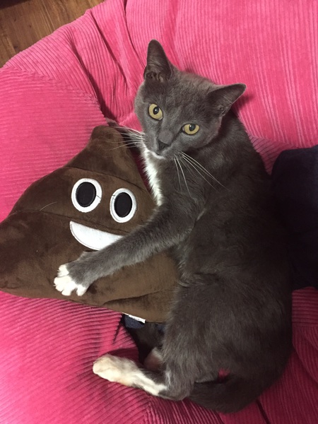 Entry image for Kelso. Clicking this image will show a larger photo