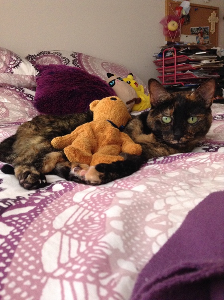 Entry image for fluff a muff. Clicking this image will show a larger photo