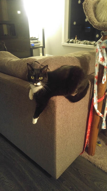 Entry image for Max. Clicking this image will show a larger photo