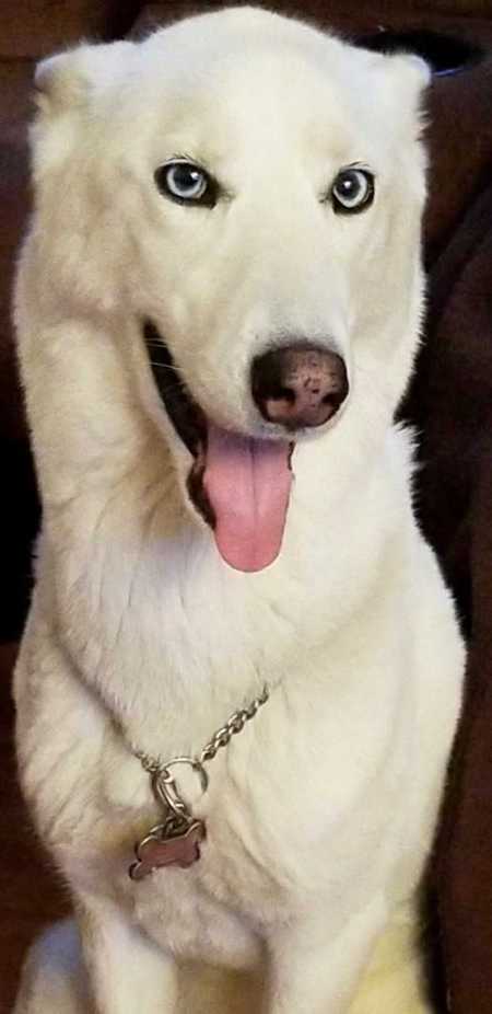 Entry image for Angel Bansal. Clicking this image will show a larger photo