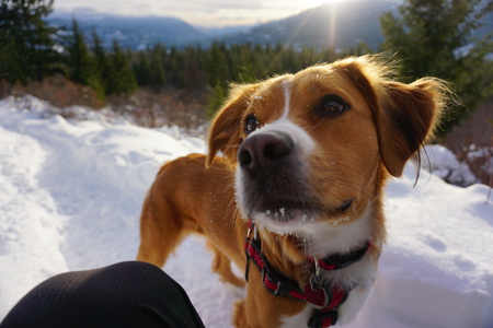 Entry image for Reyna. Clicking this image will show a larger photo