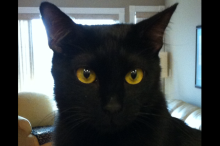 Entry image for Hombrecito. Clicking this image will show a larger photo