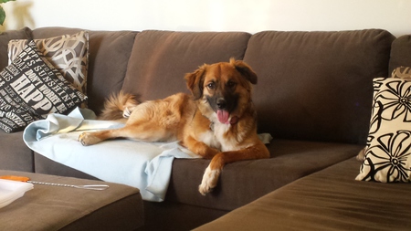 Entry image for Wrigley. Clicking this image will show a larger photo