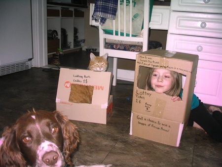 Entry image for Harley Davidson . Clicking this image will show a larger photo