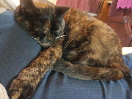 Entry image for Grace. Clicking this image will show a larger photo