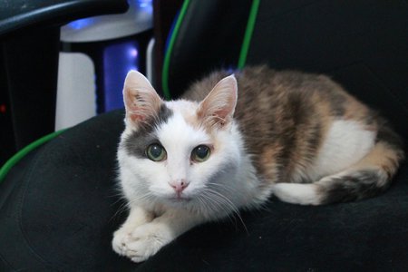 Entry image for Thelma. Clicking this image will show a larger photo