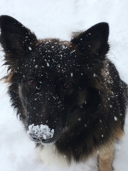 Entry image for Bobbie. Clicking this image will show a larger photo