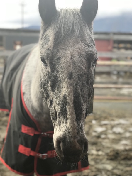 Entry image for Lightning. Clicking this image will show a larger photo