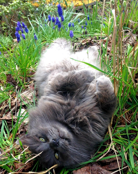 Entry image for Lars. Clicking this image will show a larger photo