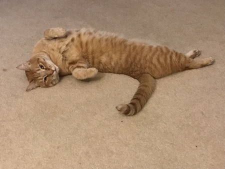 Entry image for Russell. Clicking this image will show a larger photo