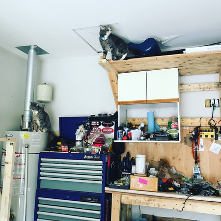 Entry image for Sunni and Decka . Clicking this image will show a larger photo