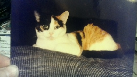 Entry image for Mack. Clicking this image will show a larger photo