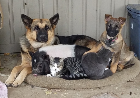 Entry image for REBA. Clicking this image will show a larger photo