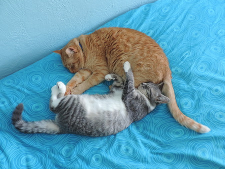 Entry image for Opie & Ellie. Clicking this image will show a larger photo