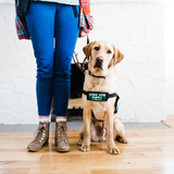 Entry image for Frisco 