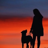 Entry image for Vanderbilt