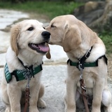 Entry image for Neon and Plaza