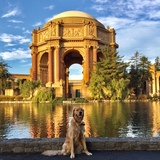 Entry image for JAMBO