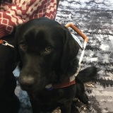 Entry image for Feather 