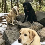 Entry image for Chanel, Moon and Wichita