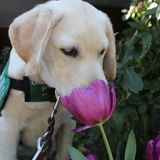 Entry image for Fusion