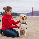 Entry image for Pilaf 