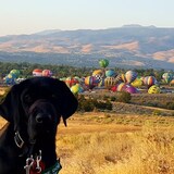 Entry image for Mark