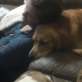 Entry image for Trixie