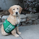 Entry image for January