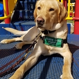 Entry image for Navy