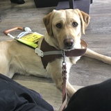 Entry image for Beta