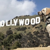 Entry image for Hollywood