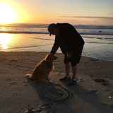 Entry image for Brandy