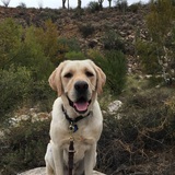 Entry image for Winslow