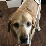 Entry image for Newcastle