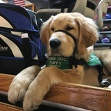 Entry image for Anvil